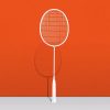 Dracaena "Balance Blade" Badminton Racket